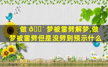 做 🌴 梦被雷劈解梦,做梦被雷劈但是没劈到预示什么